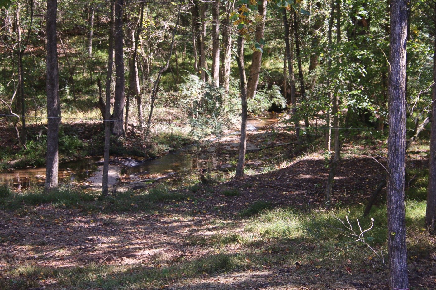 Papa's Creek running through the woods at The Shed at Papa's Creek, Lavonia Georgia – stone bottom, cold in July