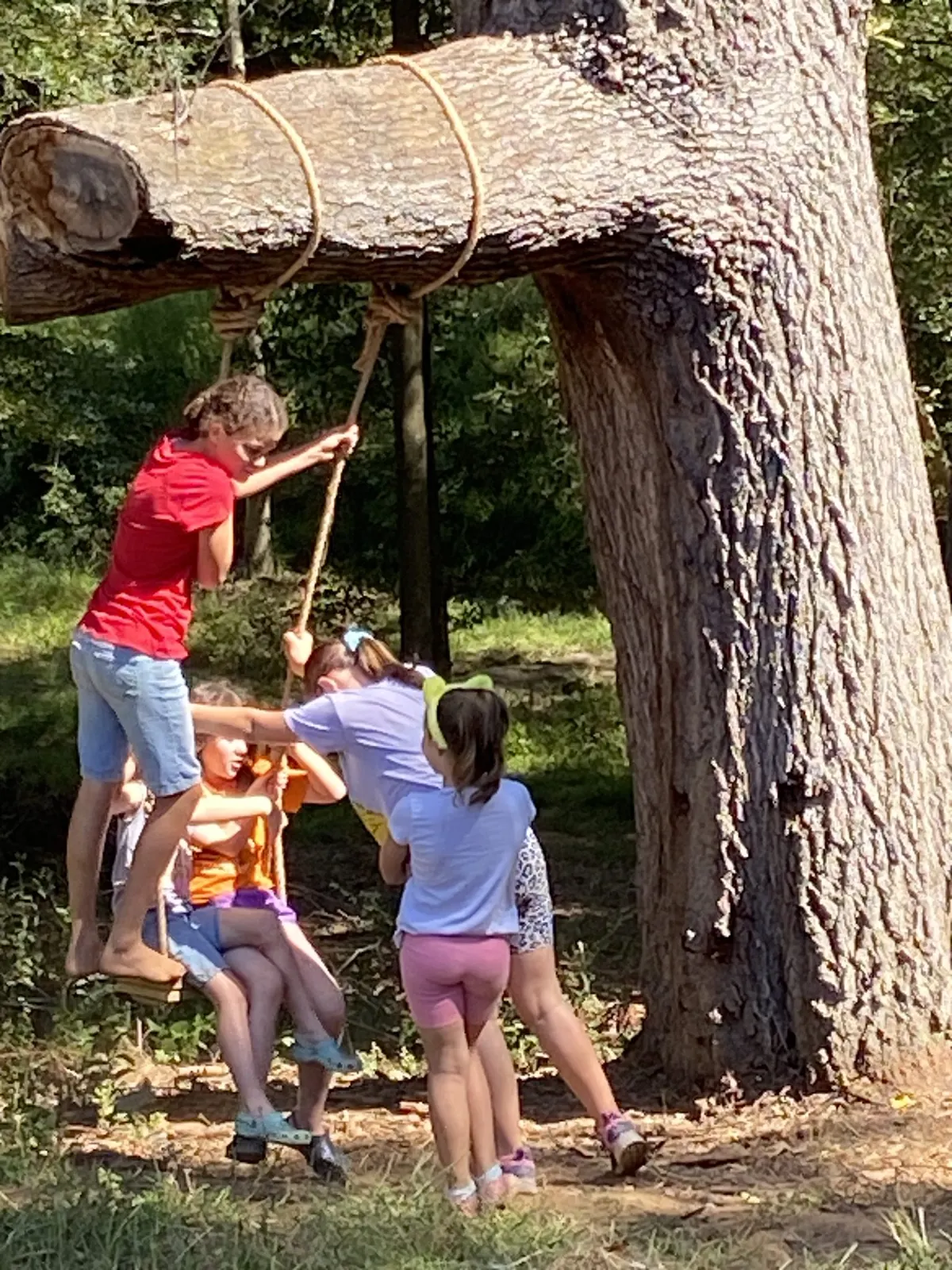 Children playing on rope swing at The Shed at Papa's Creek farm, Lavonia Northeast Georgia
