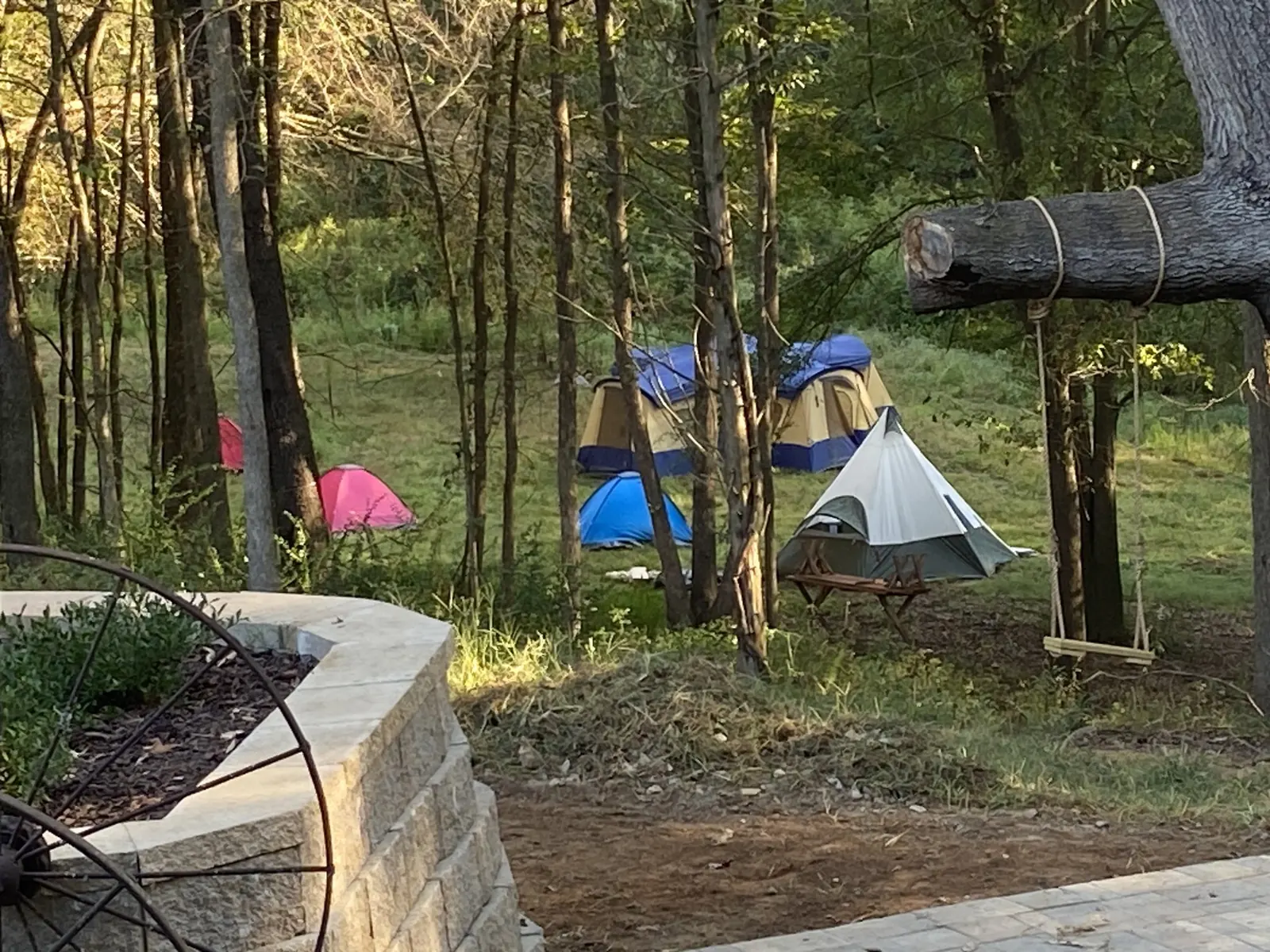 Camping tents among trees at The Shed at Papa's Creek retreat venue, Lavonia Georgia