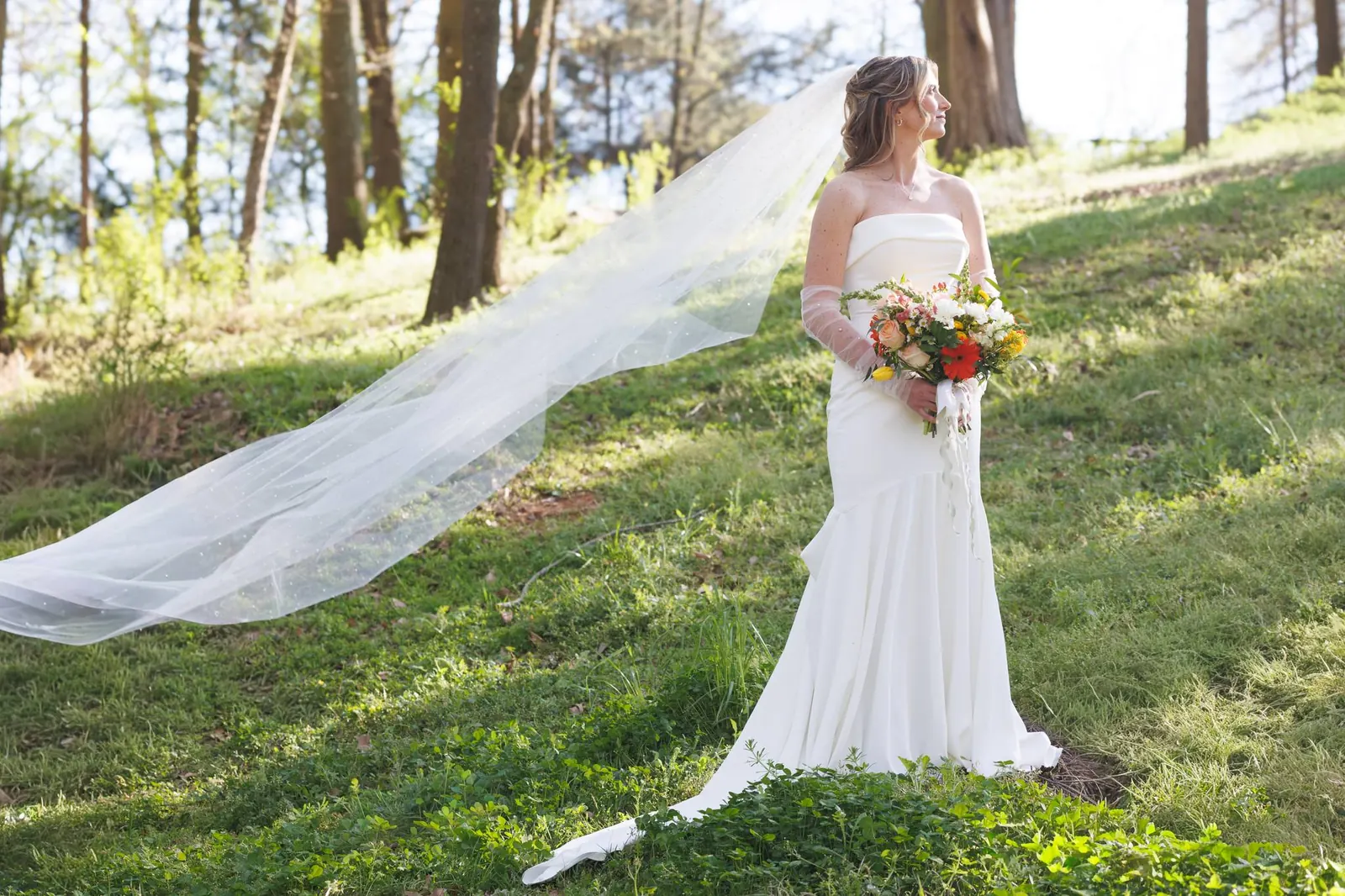 Bride on the hillside at The Shed at Papa's Creek – cathedral veil billowing in the breeze, Lavonia Georgia