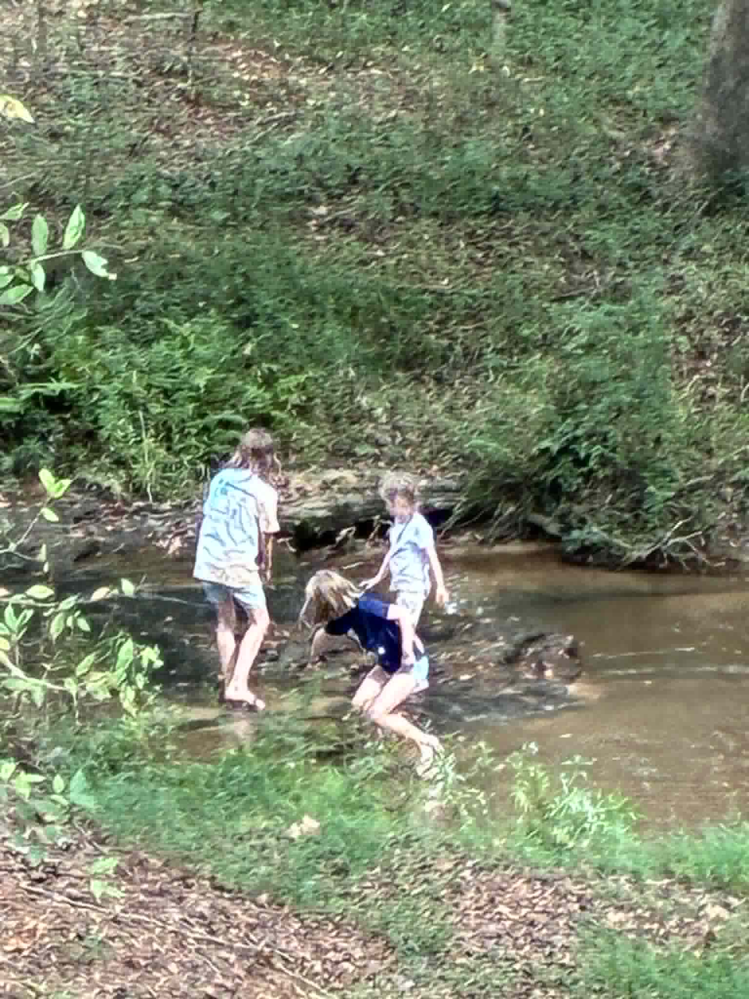 Children playing together in Papa's Creek during a family gathering